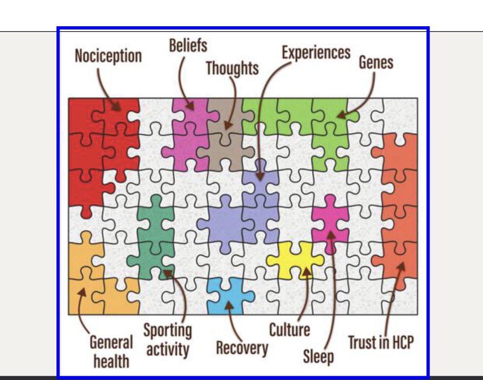 mbianchi_physio's tweet image. Moving from sports-related injury to sports-
related pain (P)
Experience of feeling injured
does not necessarily equate to having a
tissue injury
-Validate P
-Ask how P affects life
-Offer support
-Address self-management
-Create a safe environment
-Look all the puzzle of pain