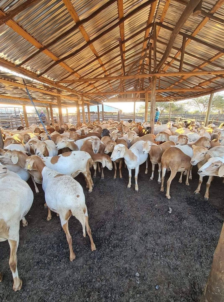 Agriculture Insider tweet media