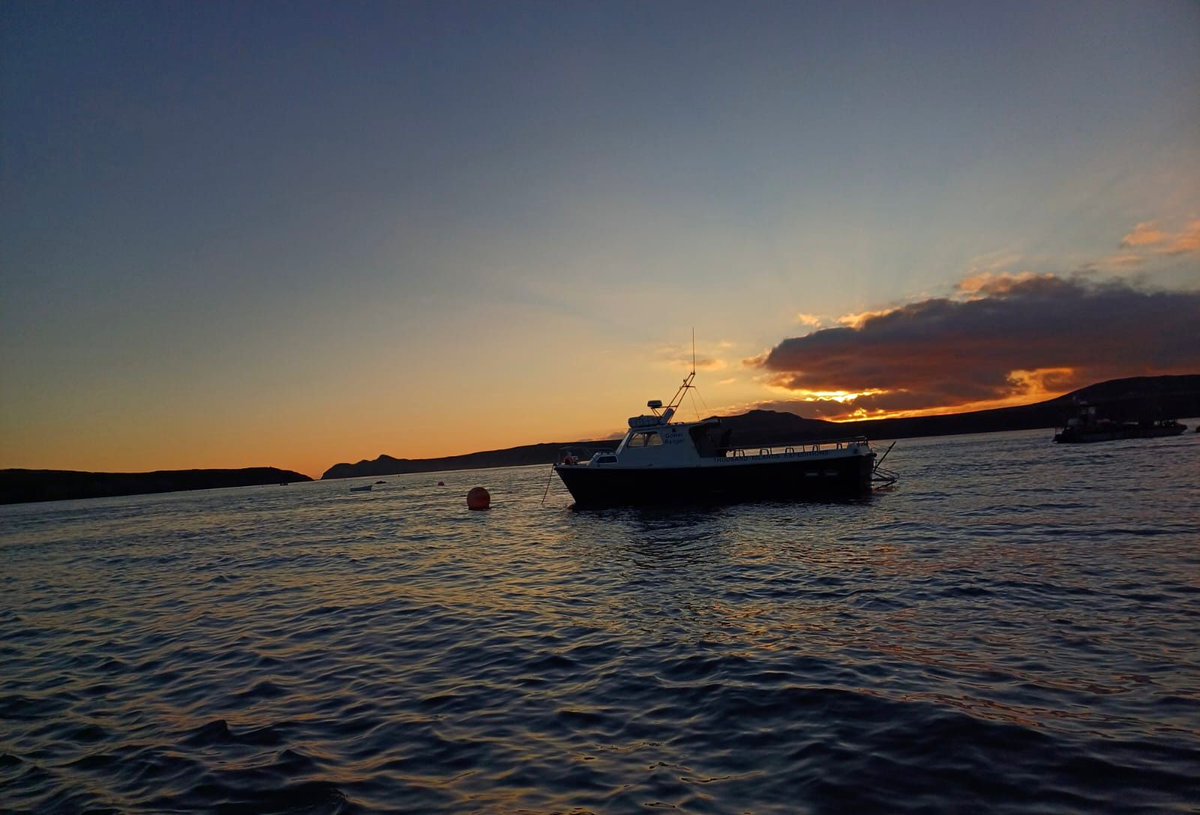 Thousand Islands Expeditions (@ramseyislandfun) on Twitter photo Until 2025, <a href="/RSPBRamsey/">RSPB Ramsey Island</a>.
Thank you to everyone for all your support this season, and to Nia, Alys and Greg at the Island for all their hard work, helping get our day visitors over to the Island.
We look forward to seeing you all next year! Until 2025, <a href="/RSPBRamsey/">RSPB Ramsey Island</a>.
Thank you to everyone for all your support this season, and to Nia, Alys and Greg at the Island for all their hard work, helping get our day visitors over to the Island.
We look forward to seeing you all next year!
