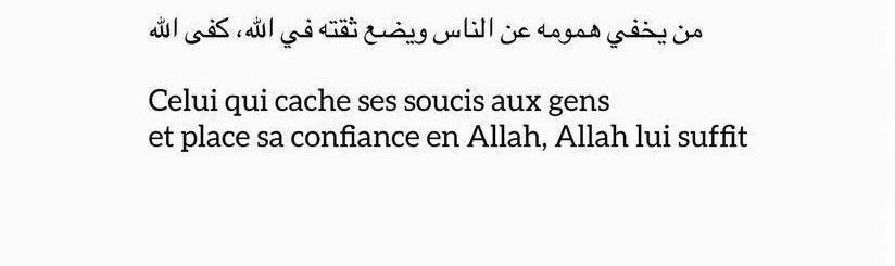 Fury🇩🇿 tweet media