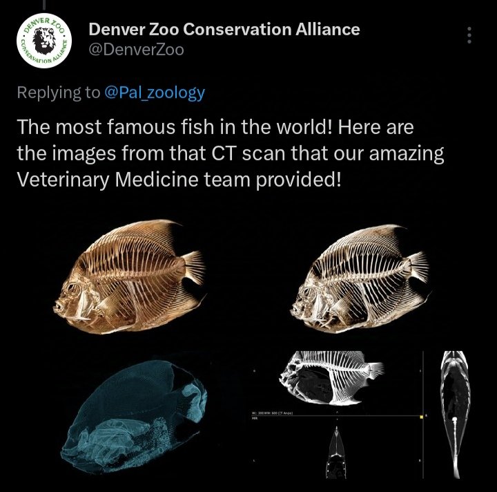 shadoomf🪲🇵🇸(homunculus enjoyer) tweet media