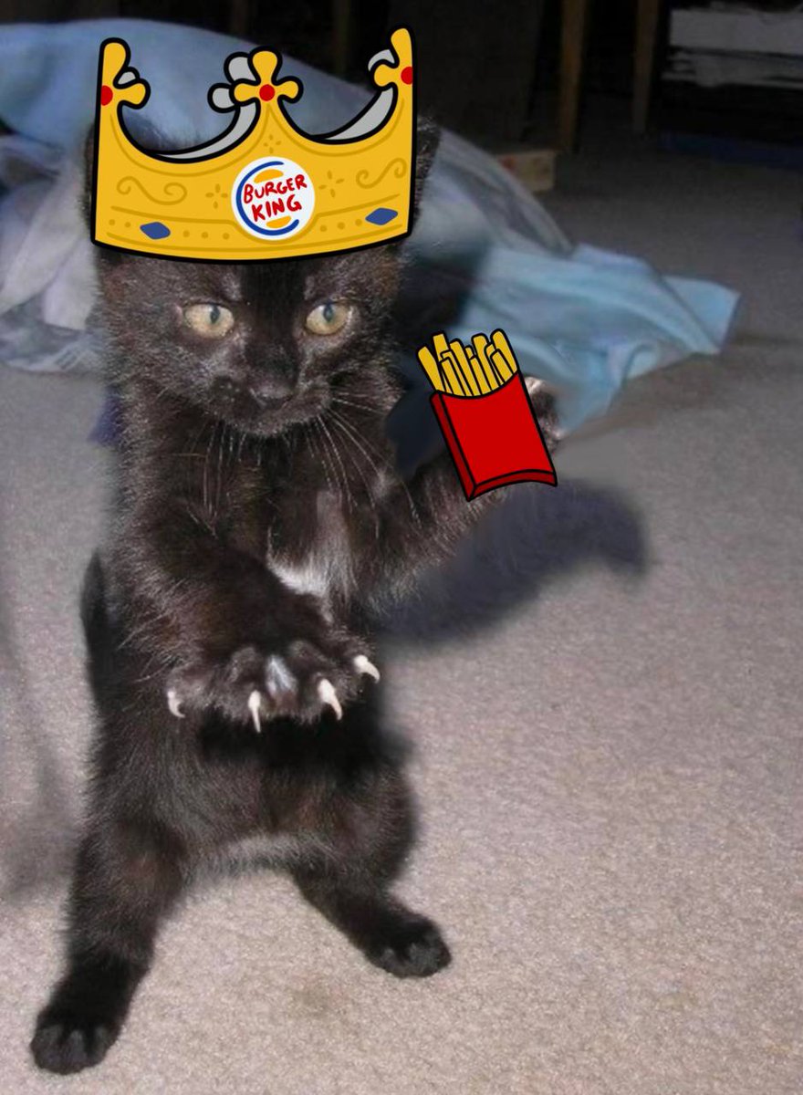 formlesshaha's tweet photo. @daumeneth $ki is the coolest one u can do

CA: 1L55cgbuTuhySPjbPZ1rdqBepsMbMZEL8Zuf3VBpump https://t.co/9meoWkf858