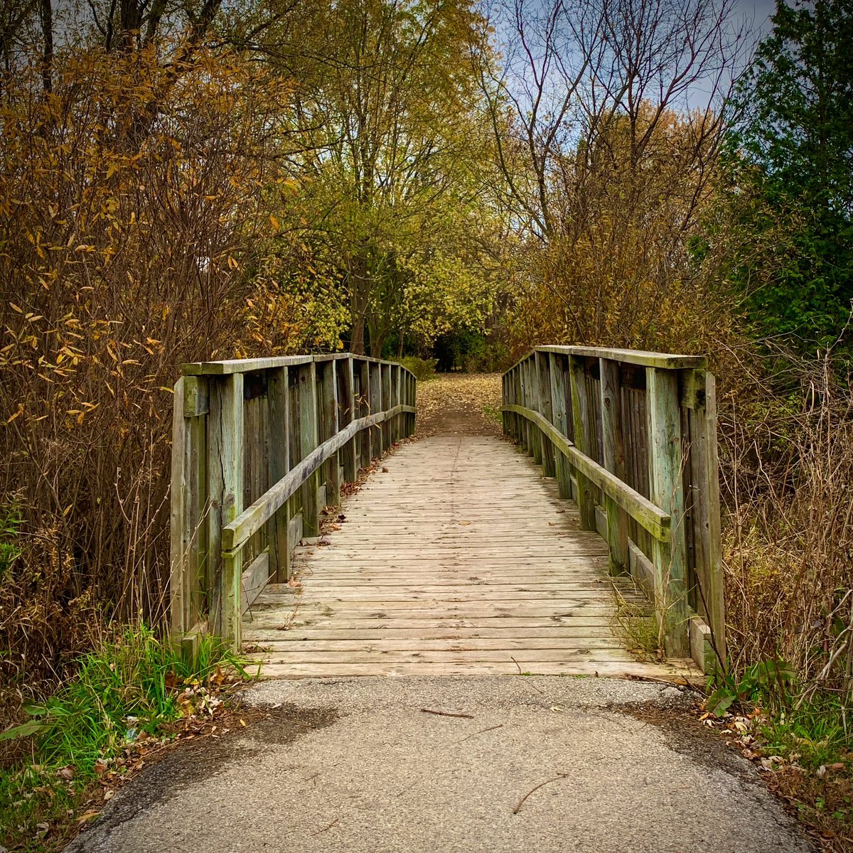 Heading into November……..