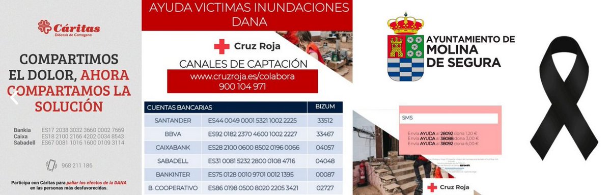 portal.molinadesegura.es