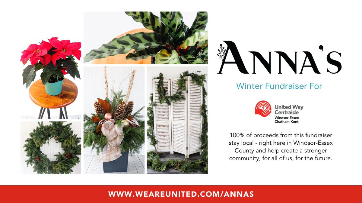 🌟 Anna's Flowers has partnered with us for their holiday fundraiser. From stunning winter plants and garlands to beautiful wreaths and vibrant poinsettias, there's something for everyone to brighten up your home or office: weareunited.com/annas