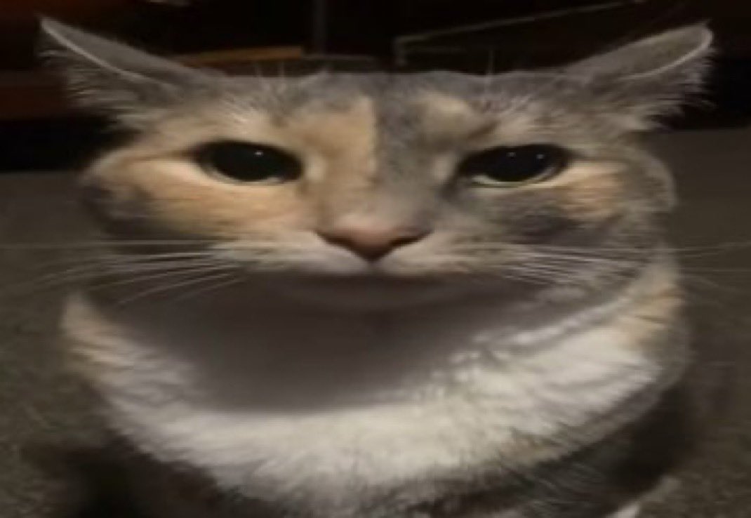 jiseokpacil's tweet photo. wdym youre okay dikatain lonte sm cowo https://t.co/IlmD5npZ0u
