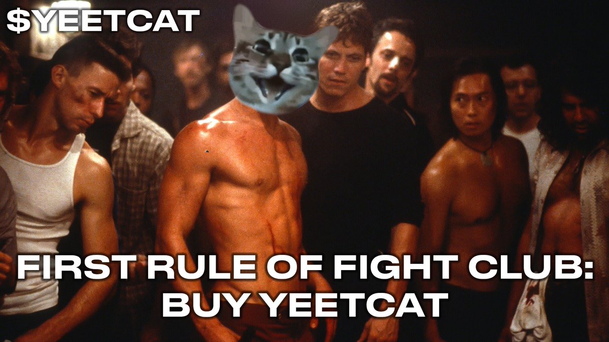 yeetcatsol's tweet photo. Mewmew let’s reach 100 😺 https://t.co/wxJjl7CkWu