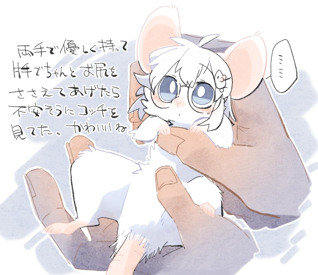 妄想日記
この後もみくちゃにした