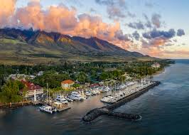 kahi_kumu's tweet photo. @BiancaBorgwardt #LahainaCoverUp
#LahainaFires
#LandGrab
#LahainaStrong
#MauiStrong
#LandBack
#HawaiiStrong
Maui No Ka Oi Aloha Ke Akua
#RiseUp https://t.co/0Lt5MR817f