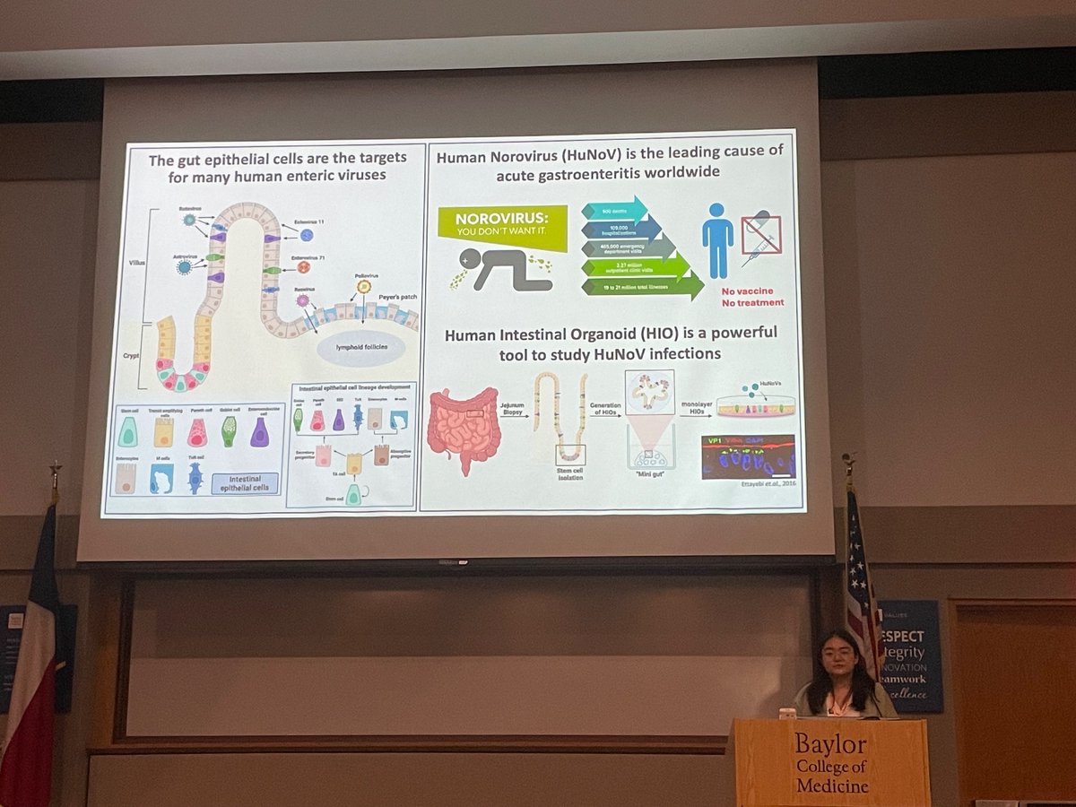 TMC Digestive Diseases Center (@tmcddc) on Twitter photo We are here at the very first <a href="/TXMedCenter/">Texas Medical Center</a> #organoid day!
Among all of these fascinating talks covering several organs, thereβs plenty of talk of #gastrointestinal organoids.
Here, Luqiong Wang, a student in <a href="/EstesLab_BCM/">Estes Lab at BCM</a>, discusses norovirus tropism in intestinal organoids We are here at the very first <a href="/TXMedCenter/">Texas Medical Center</a> #organoid day!
Among all of these fascinating talks covering several organs, thereβs plenty of talk of #gastrointestinal organoids.
Here, Luqiong Wang, a student in <a href="/EstesLab_BCM/">Estes Lab at BCM</a>, discusses norovirus tropism in intestinal organoids