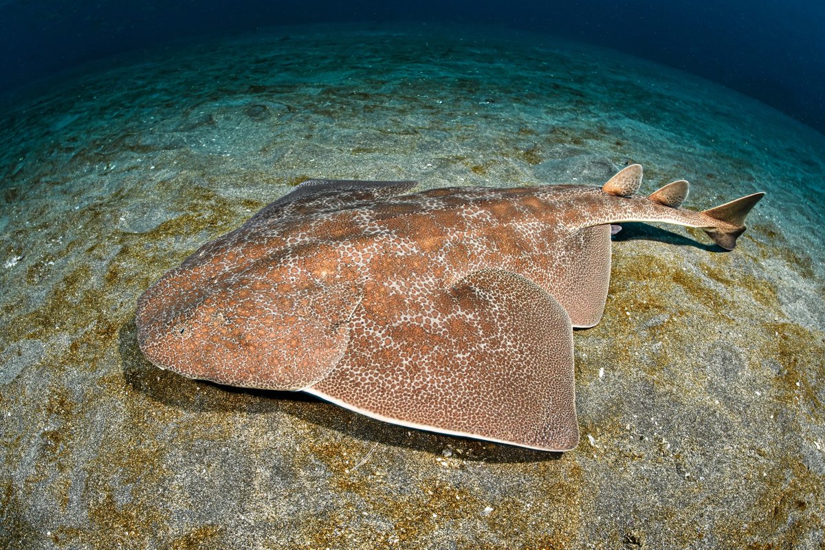 Jeremy Roberts tweet media