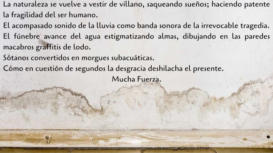 Dani Araújo (@srdanivasco) on Twitter photo 