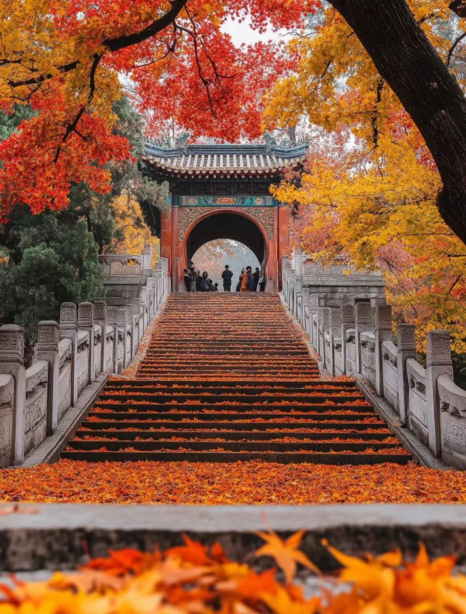 园林秋景：亭台映秋霜，诗意满园林。#大美中国  #园林之秋