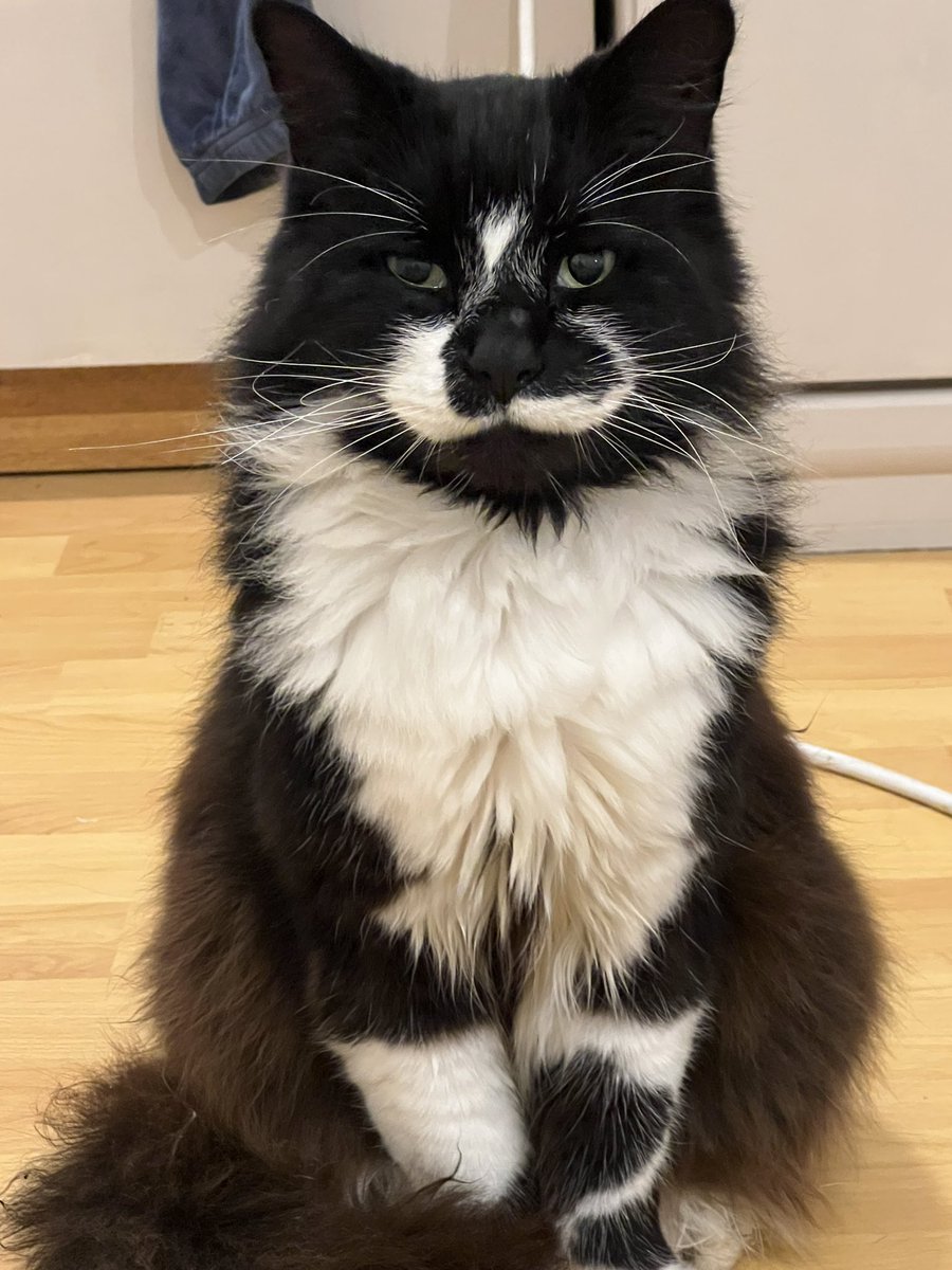 Sarah Evans tweet media