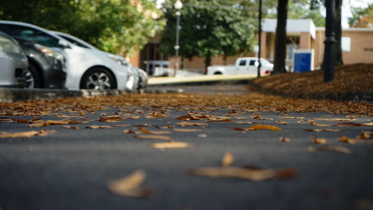ColumbusState's tweet image. Falling for #FreeApplicationMonth🍂🫶

Apply for FREE all November long!👉columbusstate.edu/admissions/app…