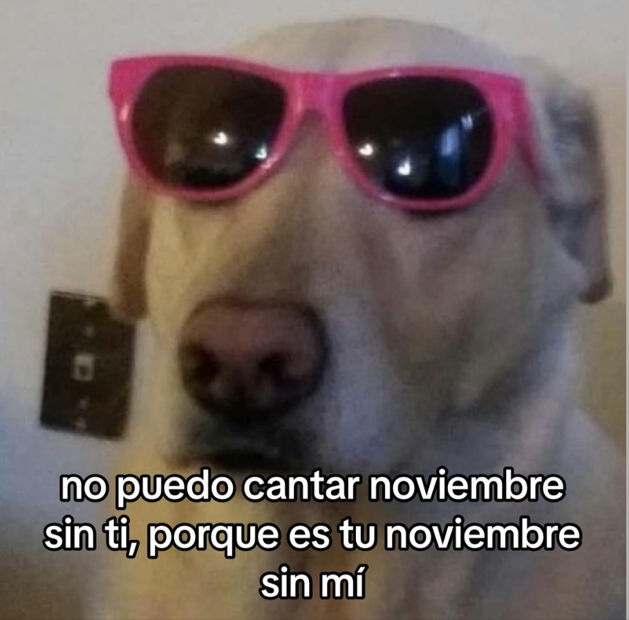El Guarromántico tweet media