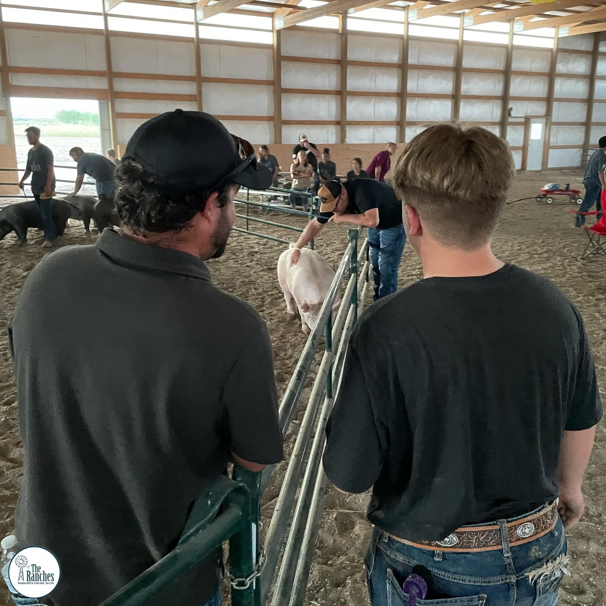 TheRanchesNM's tweet photo. Raising children is a journey of patience, respect, and connection. Each day brings new challenges and rewards as we work with the residents and learn from them. There is something incredibly fulfilling about building trust.  What are some ways you build trust? https://t.co/1Eq2lWIPtf