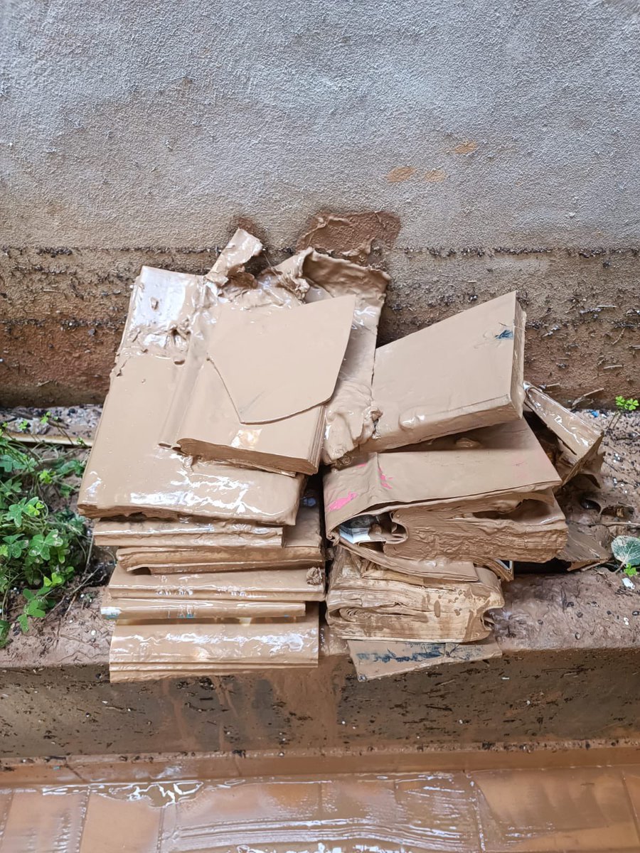 Vicent Olmos tweet media