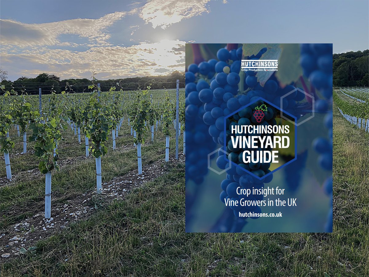 🍇Are you involved in UK Viticulture or interested in setting up your own vineyard?🍇
Interested in receiving a free Hutchinsons Vineyard Guide? 
Come and see us at the Vineyard &amp; Winery Show and register to collect your guide! 

Book for free now...
loom.ly/2_gXLxY..