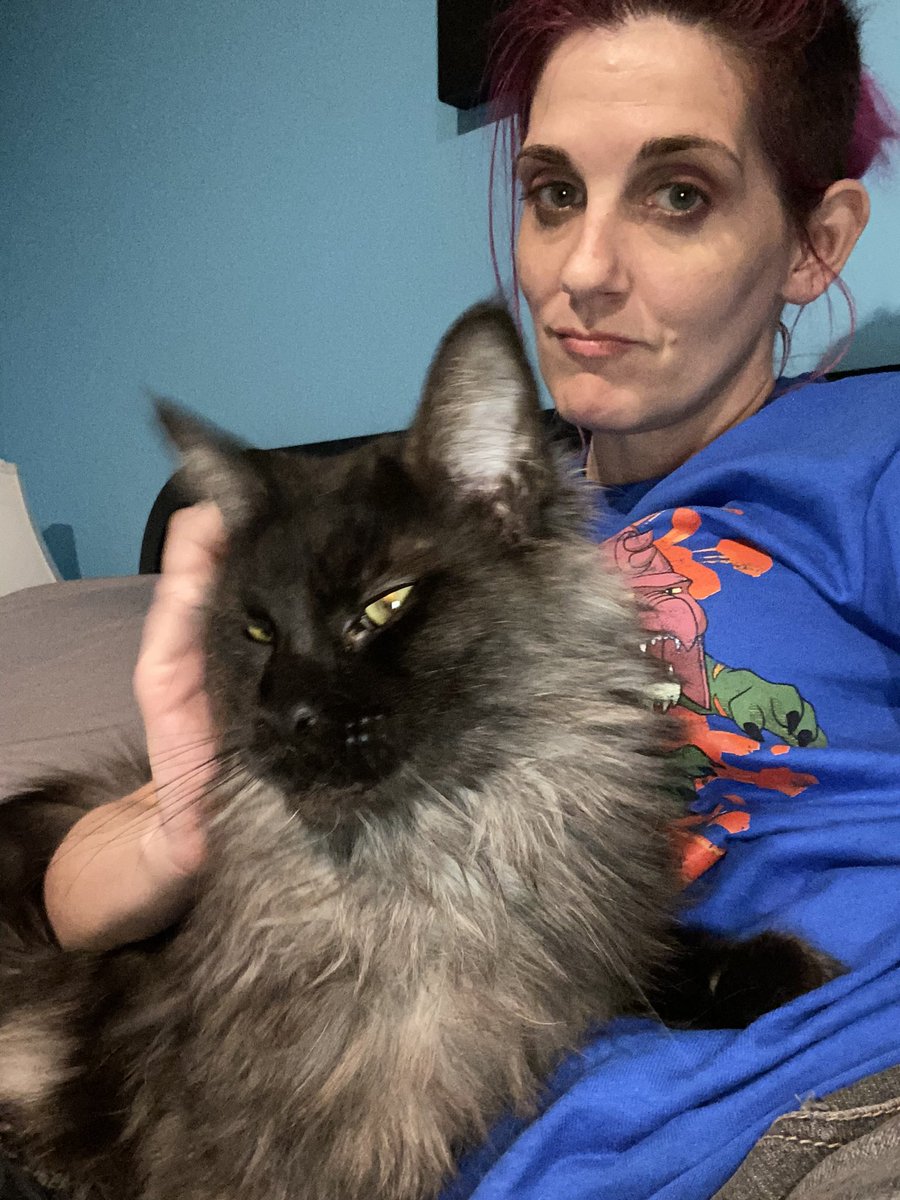 Katelyn Bowden Ⓥ tweet media