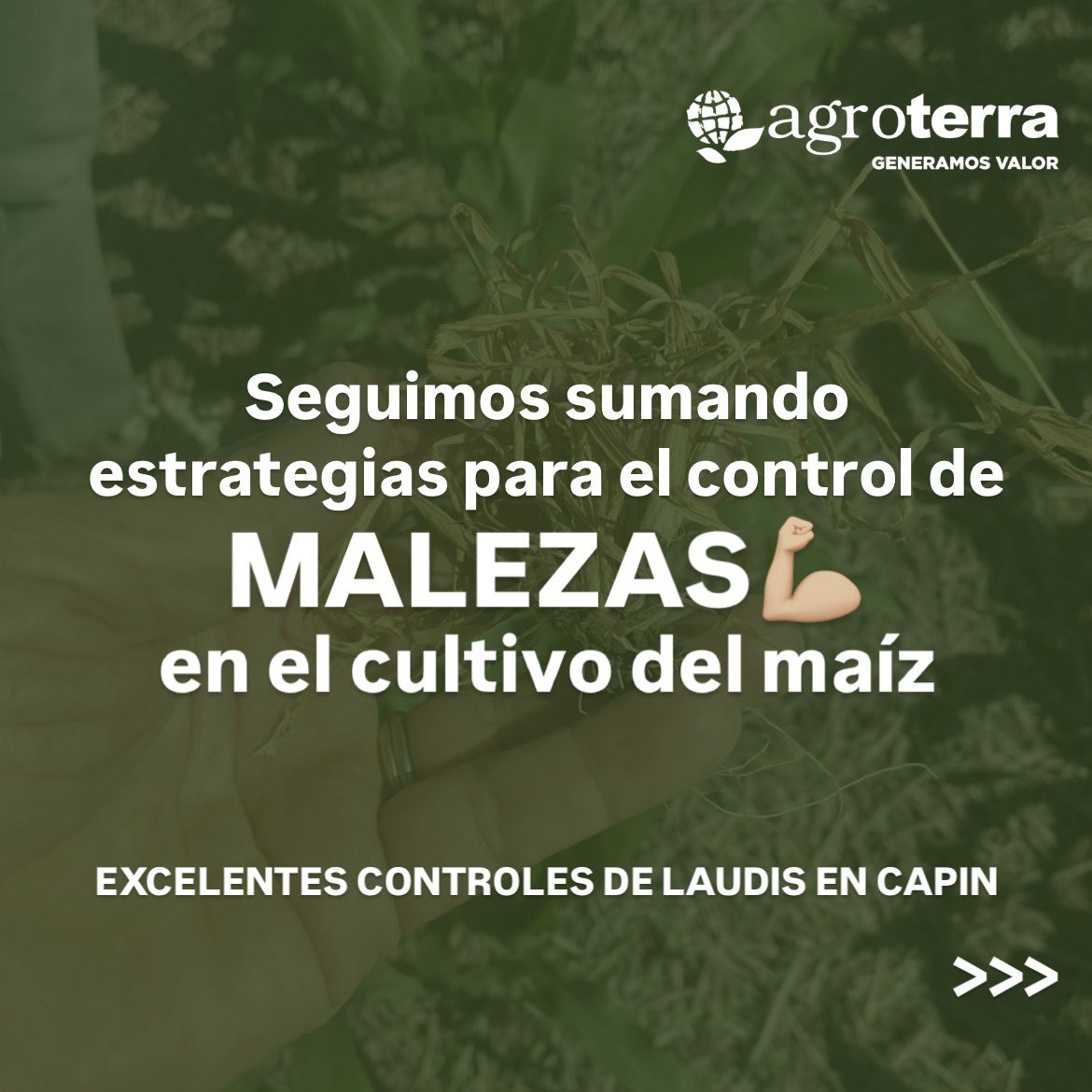 agroterrauy tweet media
