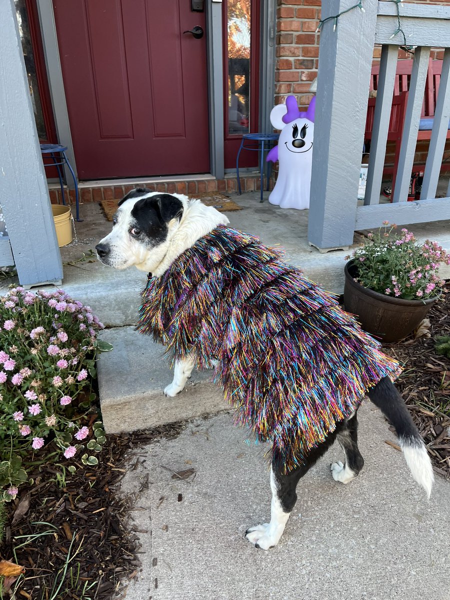 Can I just say her costume turned out amazing? Penny might need to go downtown and get a mini photoshoot #IndyTSTheErasTour