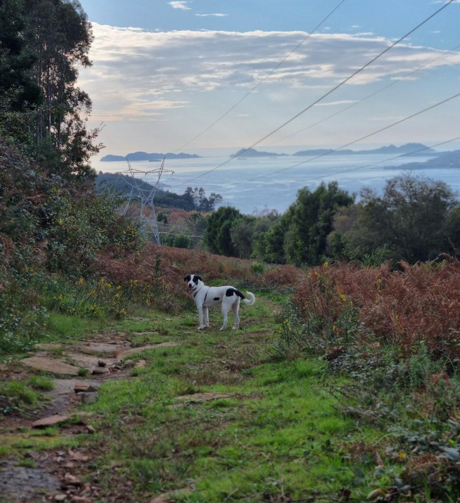 Fran 👽 👾 🌟 tweet media