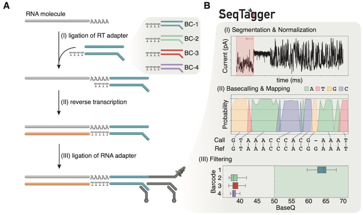 antisense. tweet media