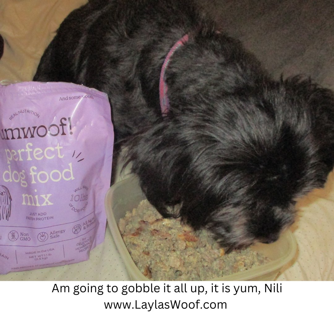 Today is cook for your pet day, I have been researching healthy food for Nili and have put her on this diet, Holistic Air Dried Food which is fantastic and a must have for your pets. You can read more on my blog this week about it, Nili approves this post.
laylaswoof.com/?p=3172