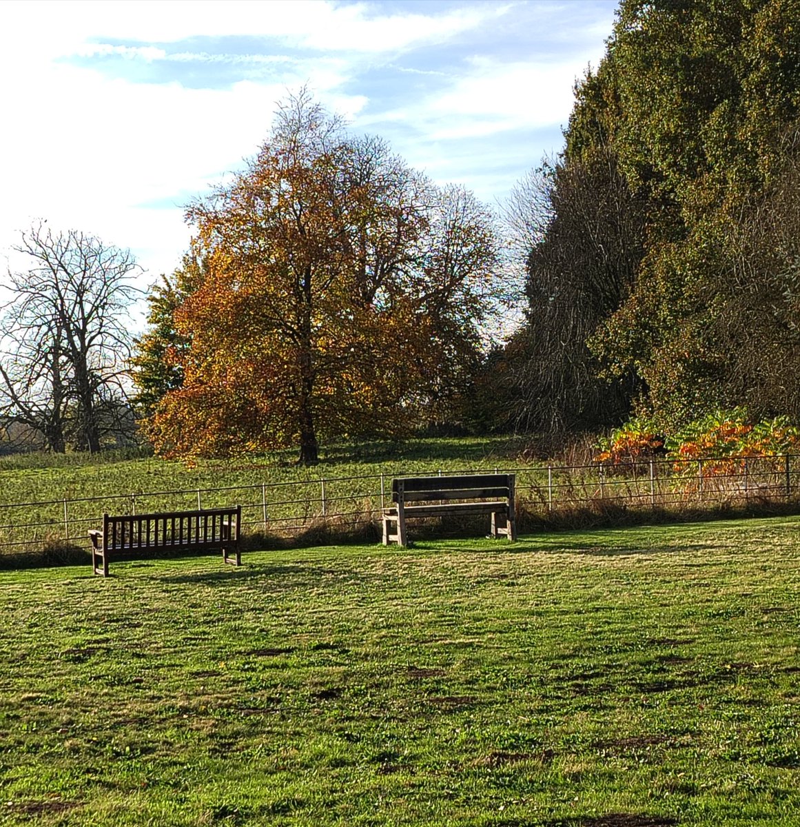 Stevenrose56's tweet photo. #MyFaveBench Two of them! At The Buddhist Centre, Kilnwick Percy Yorkshire. https://t.co/y2ja8H4mlf