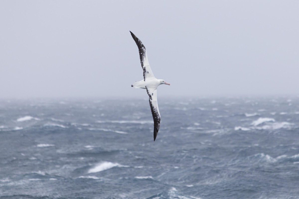 Oceans North tweet media