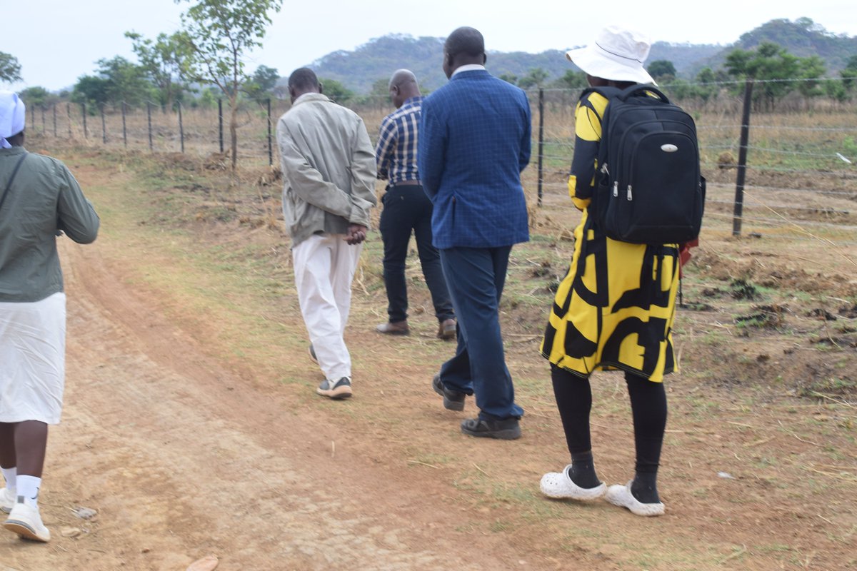 Community Alliance for Human Settlements Zimbabwe tweet media