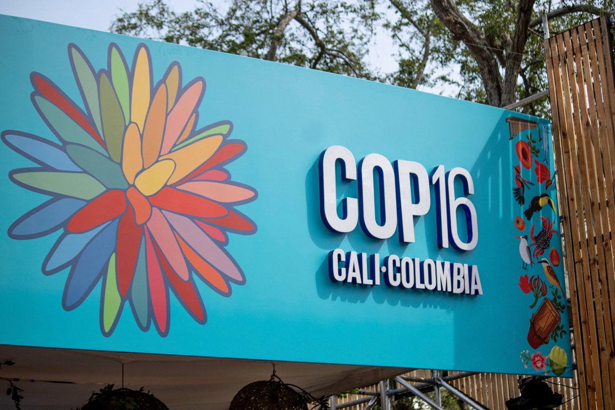 Pew Environment tweet media