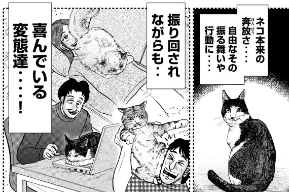これになりたい 