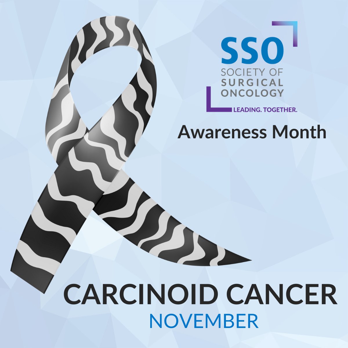 Society of Surgical Oncology (@socsurgonc) on Twitter photo November is #CarcinoidCancerAwarenessMonth. SSO thanks the skilled surgeons who dedicate their expertise to treating this disease. #SSO  🖤🤍 November is #CarcinoidCancerAwarenessMonth. SSO thanks the skilled surgeons who dedicate their expertise to treating this disease. #SSO  🖤🤍