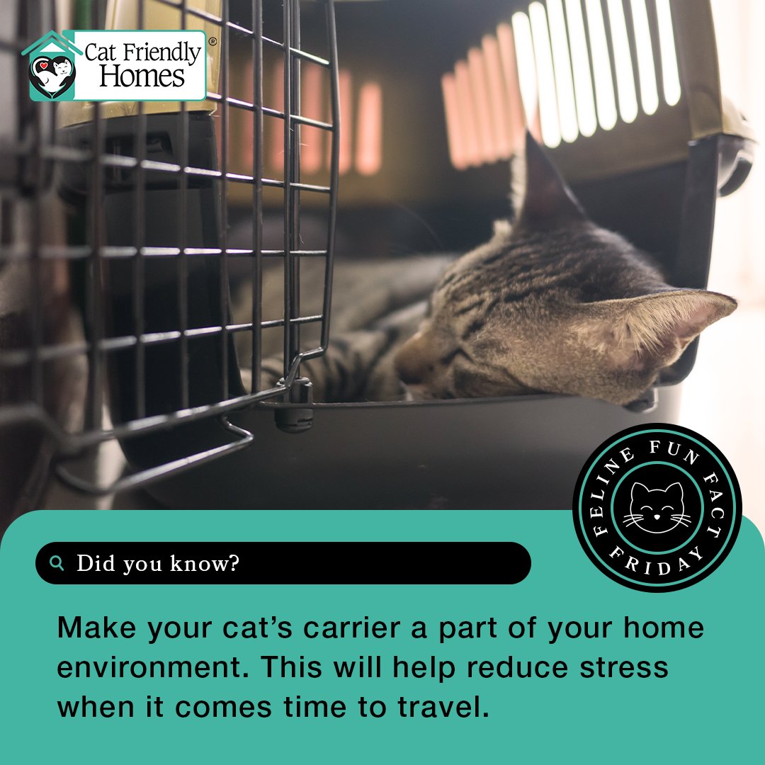 CatVets's tweet photo. Make your cat’s carrier a part of your home environment. This way, your cat will see the carrier as a safe place and learn to associate positive experiences with it before being transported. Learn more at https://t.co/upL3JrmiAI. 

#FelineFunFactFriday #CatFriendlyHomes https://t.co/UOtpbwr5cL