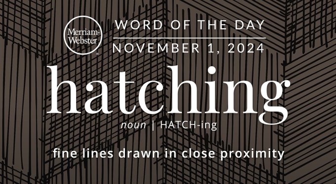 Merriam-Webster Word of the Day November 1, 2024 'hatching' noun | HATCH-ing "fine lines drawn in close proximity" Background: a pencil drawing demonstrating hatching 