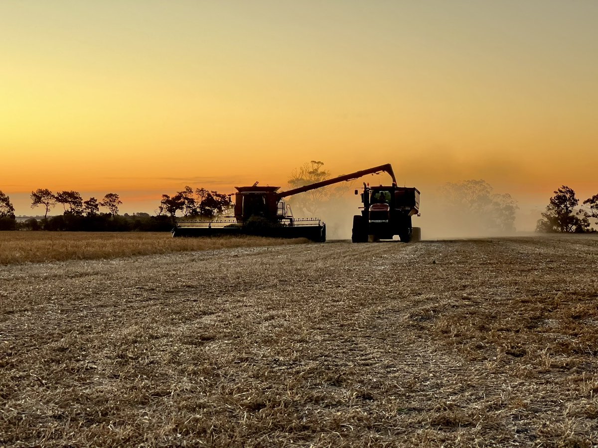 It’s harvest time!! 
Beyond grateful to be reaping something after experiencing our lowest rainfall on record!
Everything is crossed that we have something to reap in every paddock! 🙏🏼
#harvest24 #peas #caseih #zerotill #sustainableagriculture #regenerativeagriculture #ausag