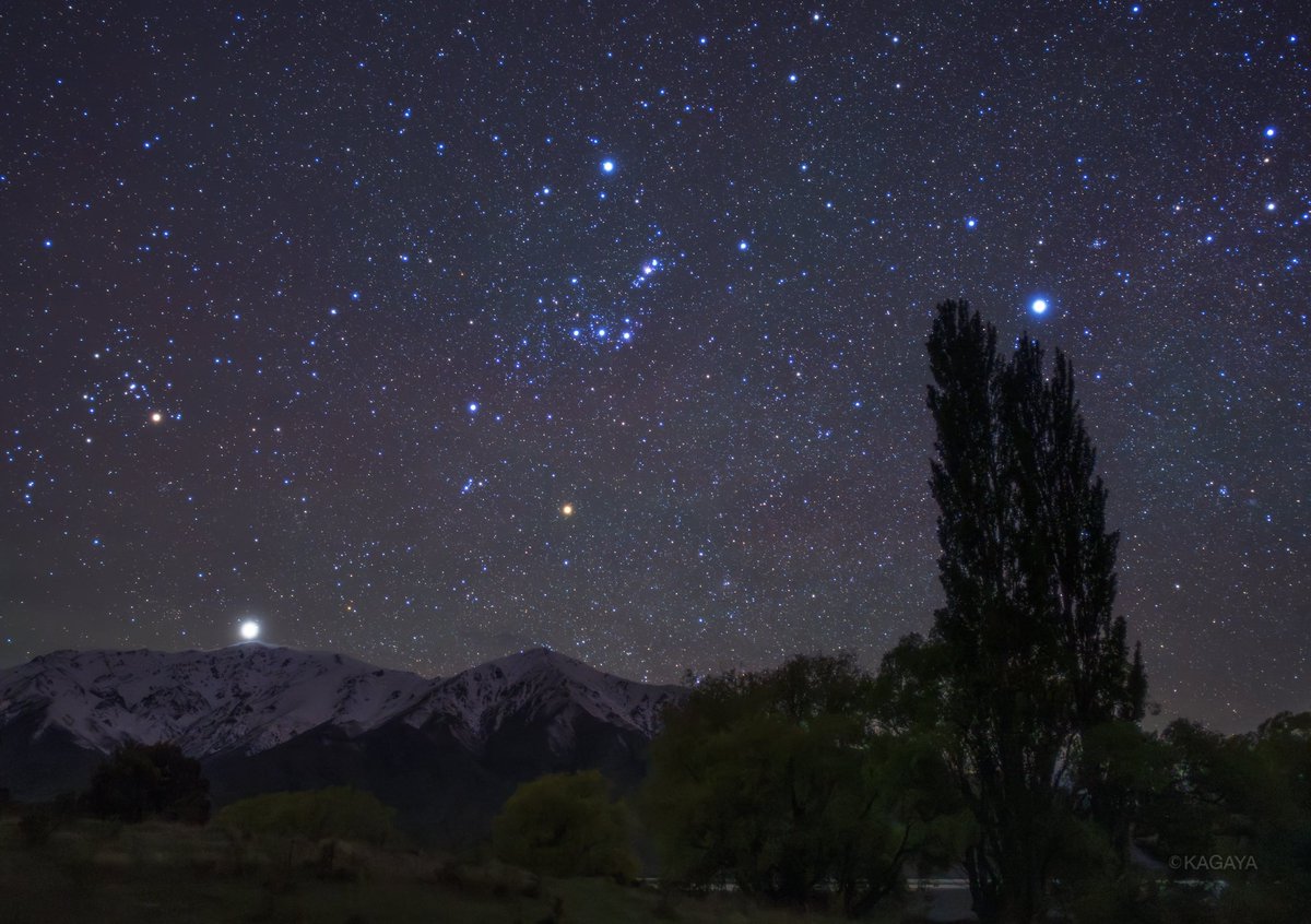 ニュージーランドの逆さのオリオン。
日本で見慣れたオリオン座も、南半球では逆さに見えます。
私が好きな南半球の光景の一つです。
写真左下の明るい星は木星。
写真右上、木のてっぺんで輝く星はシリウスです。（今週撮影）
今週もお疲れさまでした。