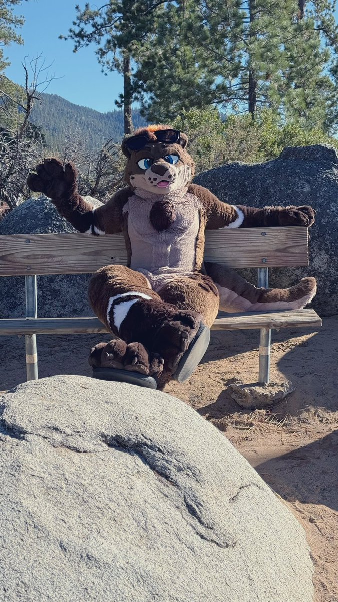 One of my favorite pics and first time suiting by myself in public 😅. One kid thought I was a bear 🤣 @ Lake Tahoe. #FursuitFriday