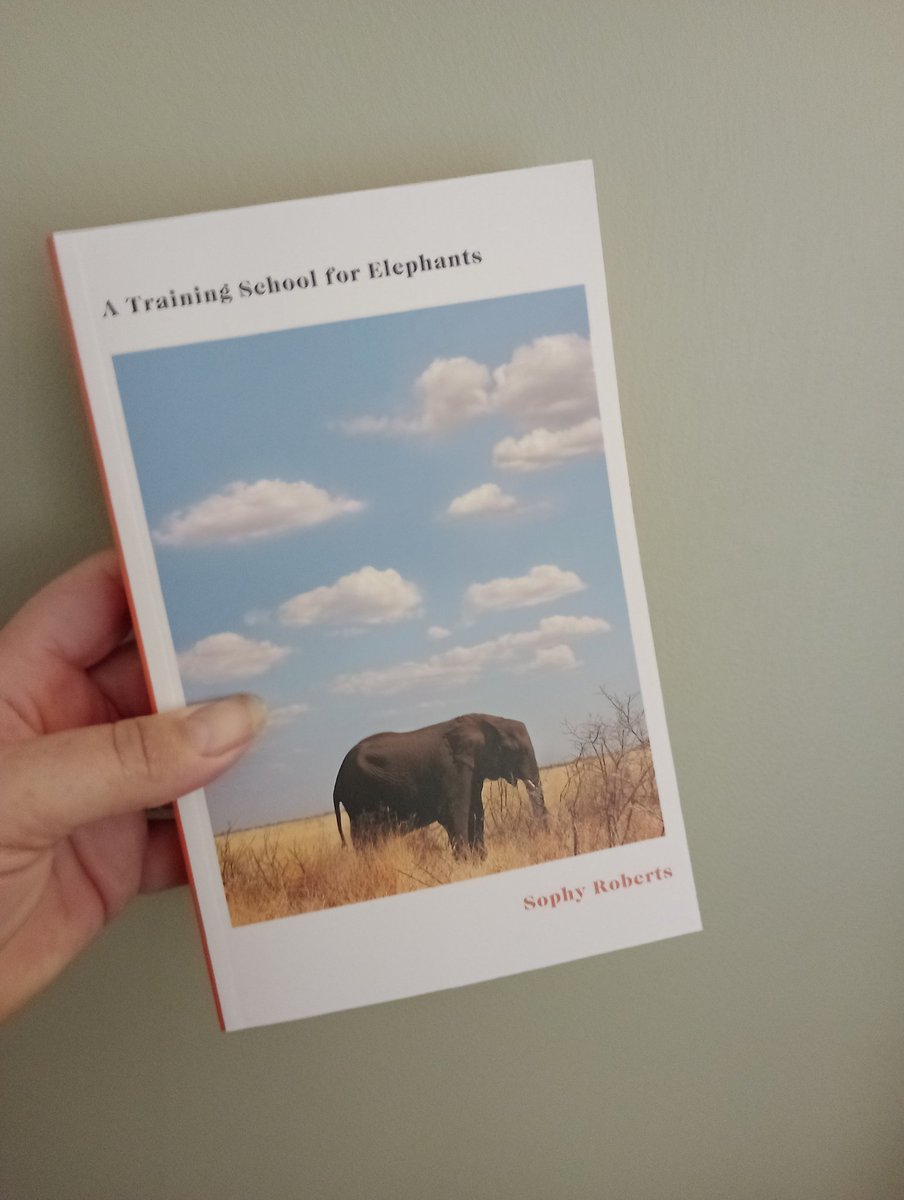 JoannaLouisePar's tweet photo. Ooh this sounds fascinating! A Training School For Elephants by Sophy Roberts . Thanks so much for sending @DoubledayUK @IndiesAbout it's so appreciated! #ATrainingSchoolForElephants #SophyRoberts https://t.co/2nEMureTFR