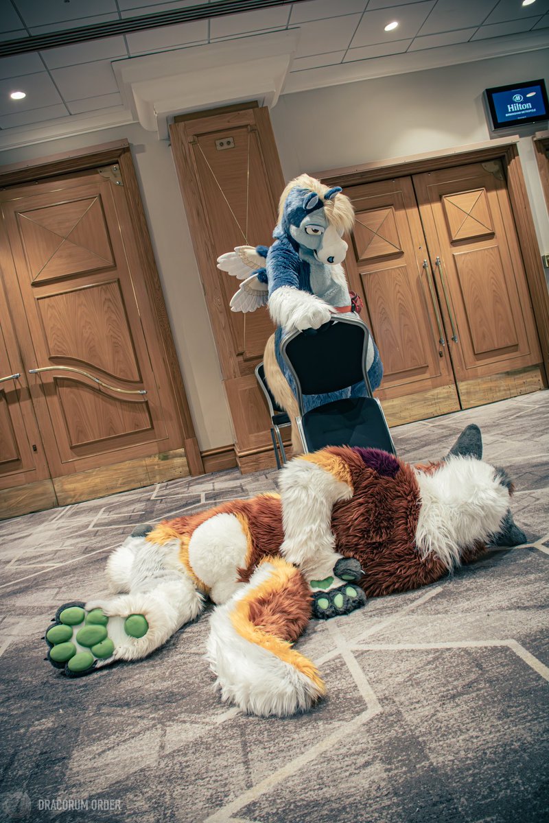 Huxley ๐ Confuzzled (@drhappygrowl) on Twitter photo YOU DIED โ ๏ธ
(How Iโm feeling right now after nights)
Thankfully my save point was in Manchester, so Iโll be seeing you all there this #FursuitFriday for Doggy Weekend!
<a href="/CashleyPegasus/">Cashley the Pegasus</a> looking on contemptuously
๐ธ <a href="/DracorumOrder/">Dracorum Order ๐งง</a> YOU DIED โ ๏ธ
(How Iโm feeling right now after nights)
Thankfully my save point was in Manchester, so Iโll be seeing you all there this #FursuitFriday for Doggy Weekend!
<a href="/CashleyPegasus/">Cashley the Pegasus</a> looking on contemptuously
๐ธ <a href="/DracorumOrder/">Dracorum Order ๐งง</a>