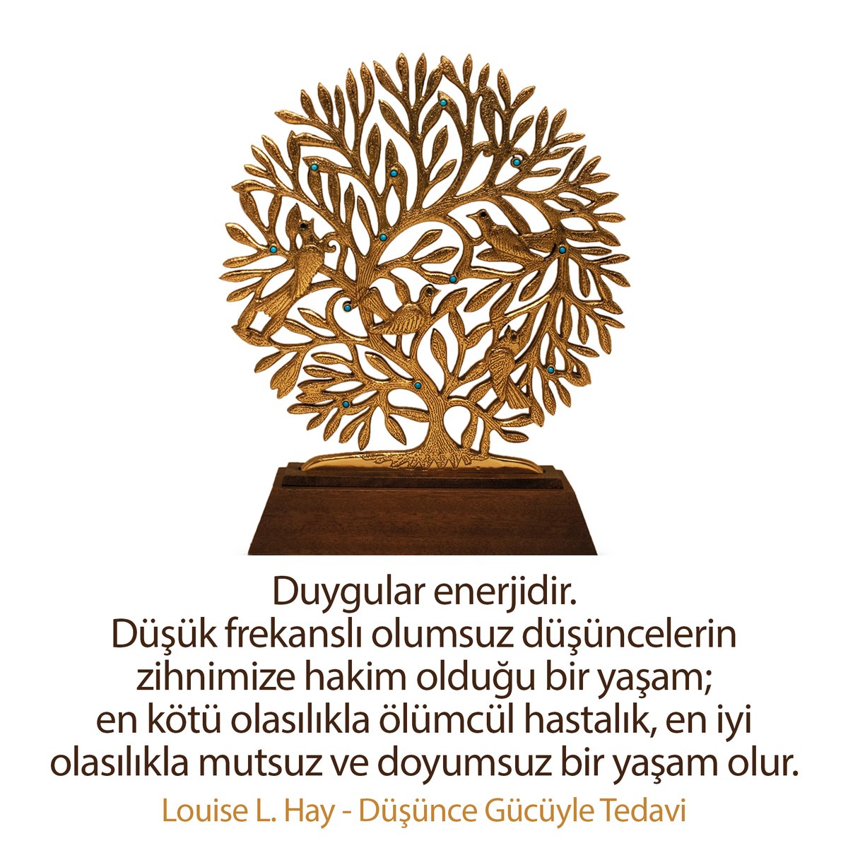Duygular enerjidir. Düşük frekanslı olumsuz düşüncelerin zihnimize hakim olduğu bir yaşam; en kötü olasılıkla ölümcül hastalık, en iyi olasılıkla mutsuz ve doyumsuz bir yaşam olur. / Louise L. Hay - Düşünce Gücüyle Tedavi
#LouiseLHay #Duygu #Enerji