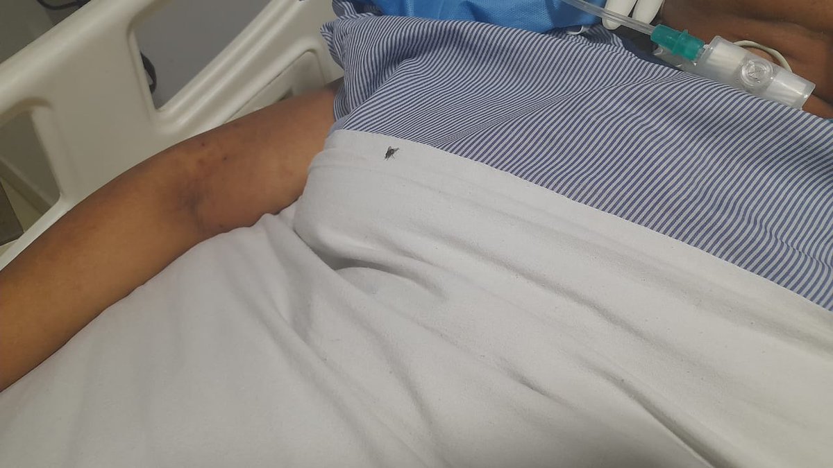 deba_twiting's tweet photo. @HCAhealthcare @_SuVitas @DaburIndia my sister is at HCAH healthcare rehab at kolkata. The HDU has flys sitting on patients ….. after asking the attendant she evades any reply. Please look into this asap. This is very shameful. #doctordeath #hcah #dabur #gauravBurman #cmri https://t.co/bxybrgCwn5