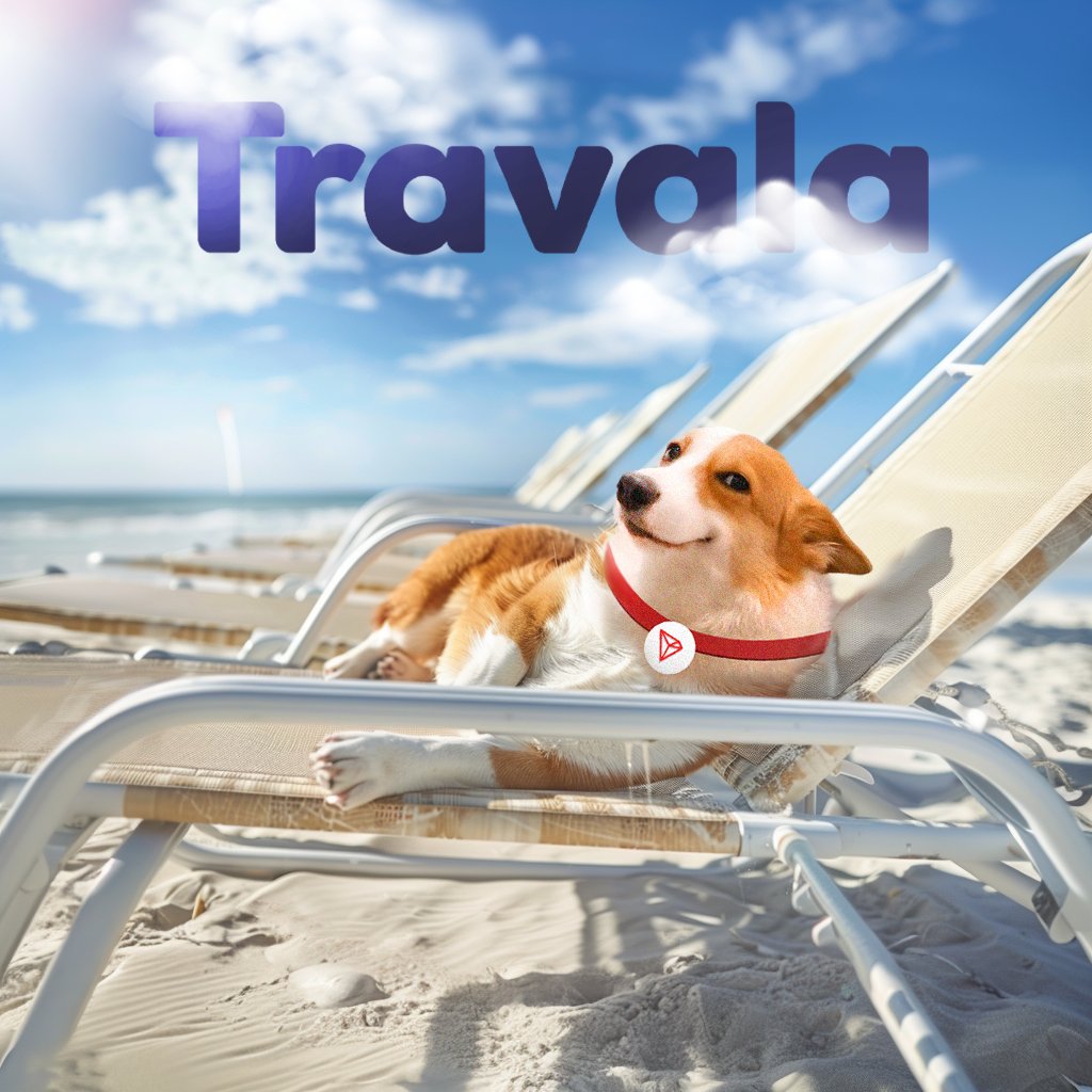 SUNDOG_TRX's tweet photo. We are taking off to the sun with @travalacom 🛫☀️

Stay tuned SUNDOG fam, more to be announced soon. https://t.co/nNa6kE8JJJ
