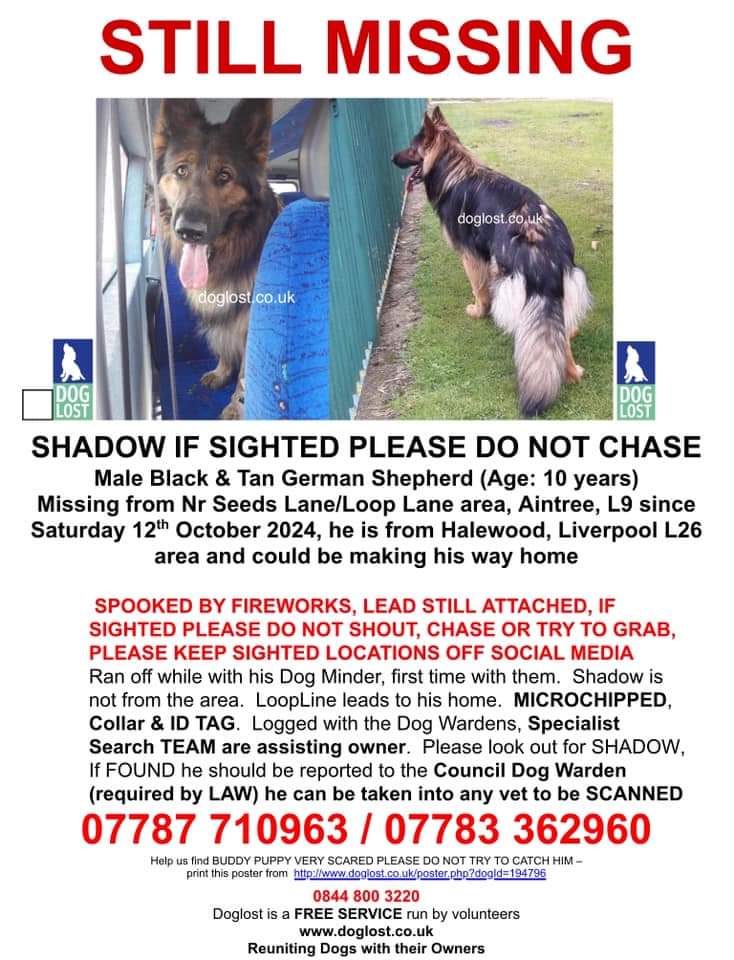 Missing Pets GB tweet media