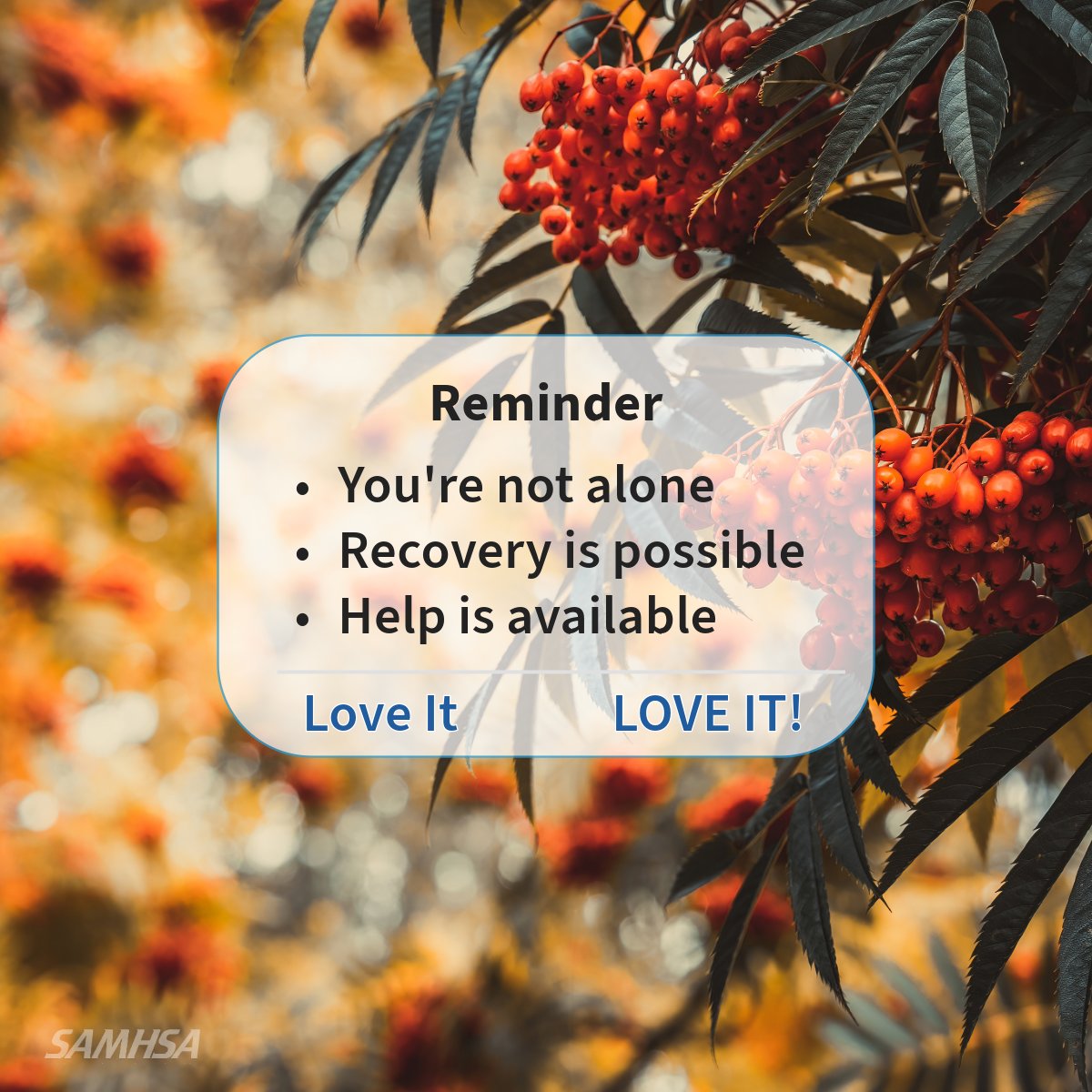 samhsagov's tweet photo. 🔔 Daily Reminder: It's okay not to be okay. 

Support is always available if you or someone in your life is struggling with mental health or substance use. Visit https://t.co/jTAO1Q7SjI for help and resources. #RecoveryIsPossible https://t.co/AnZoX9Afpb