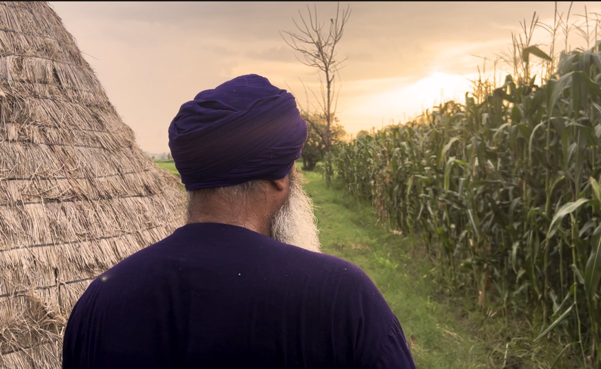 CEEWIndia's tweet photo. #NewBlog | Why Stubble Burning Continues in Punjab — Perspectives from the Ground

Punjab is not a monolith. Different pinds (villages) speak different dialects, have varying preferences for machinery, cropping patterns, and regional politics, with social groups influenced by unique community factors. This diversity influences the complexity of agricultural decisions. In a new blog, Research Analyst Arvind Kumar brings a much needed on-ground perspective of the complex barriers farmers still face, and how understanding this is key to solving for #CleanAir.

Read here: https://t.co/MizYcVJGej
