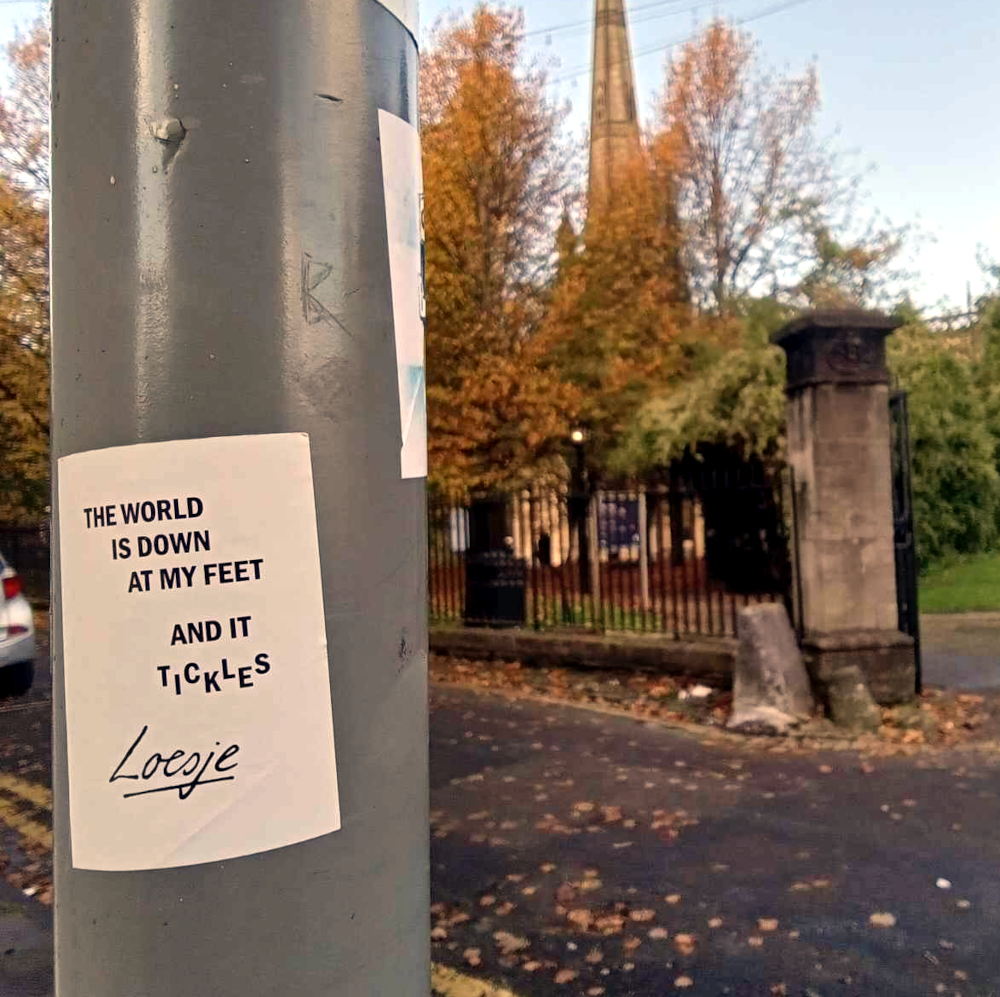 The world is down at my feet 
🍂 and it tickles

#Loesje 
#worldaholic #travel #autumn #spotted #Bristol