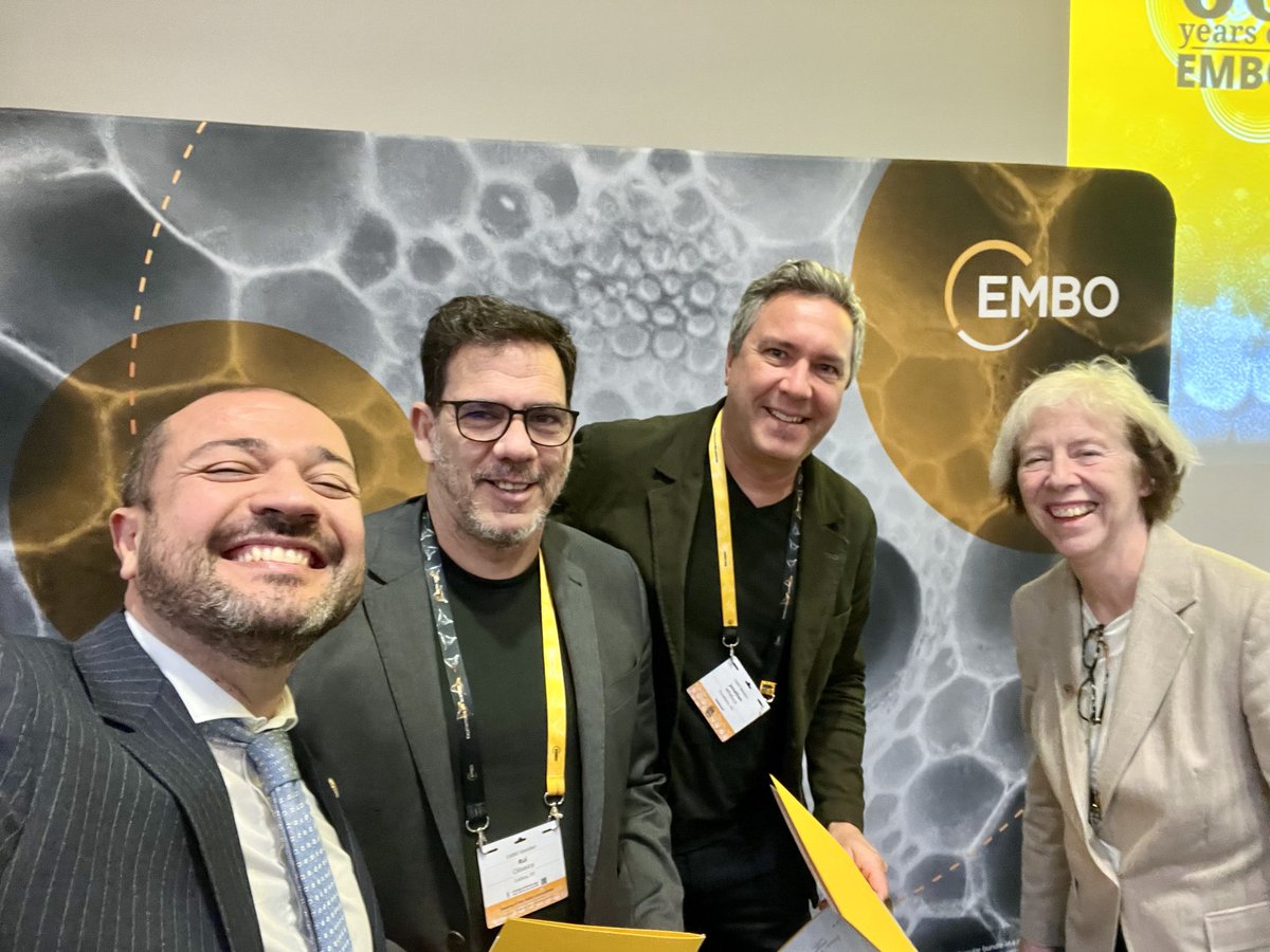 Emre Yaksi tweet media